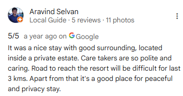 Google Review